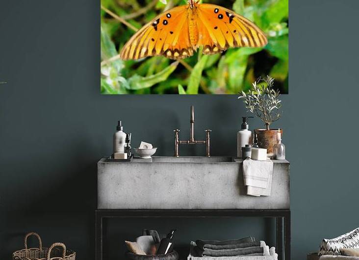 Butterfly 244 by Anselmo Diaz