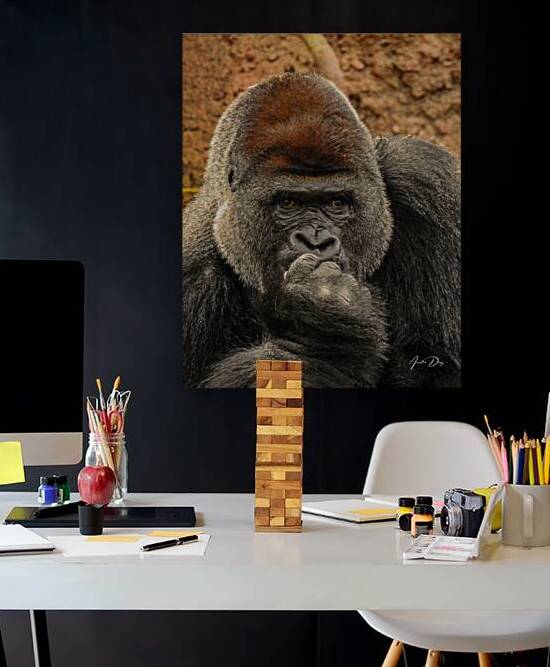 Silverback Gorilla   The Thinker by Anselmo Diaz