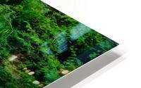 White herions 1 HD Metal print