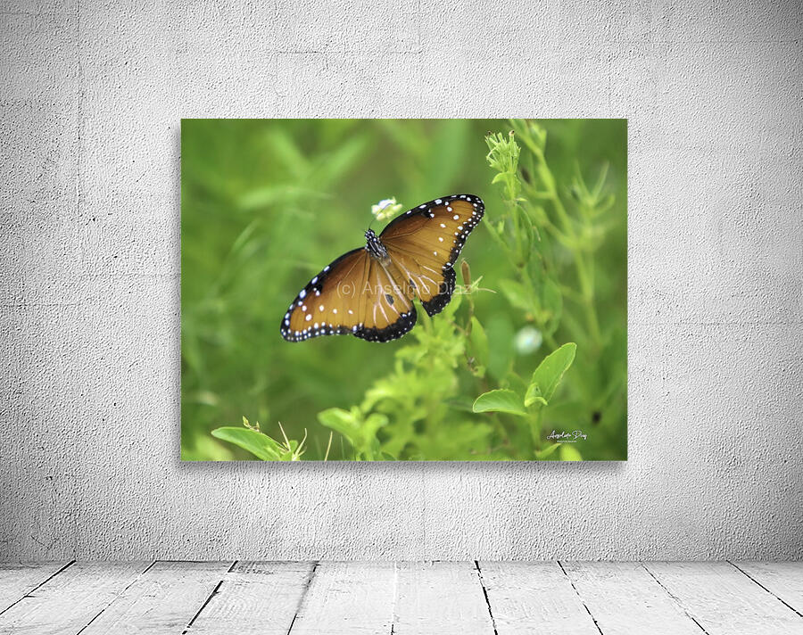 Butterfly Wall Preview