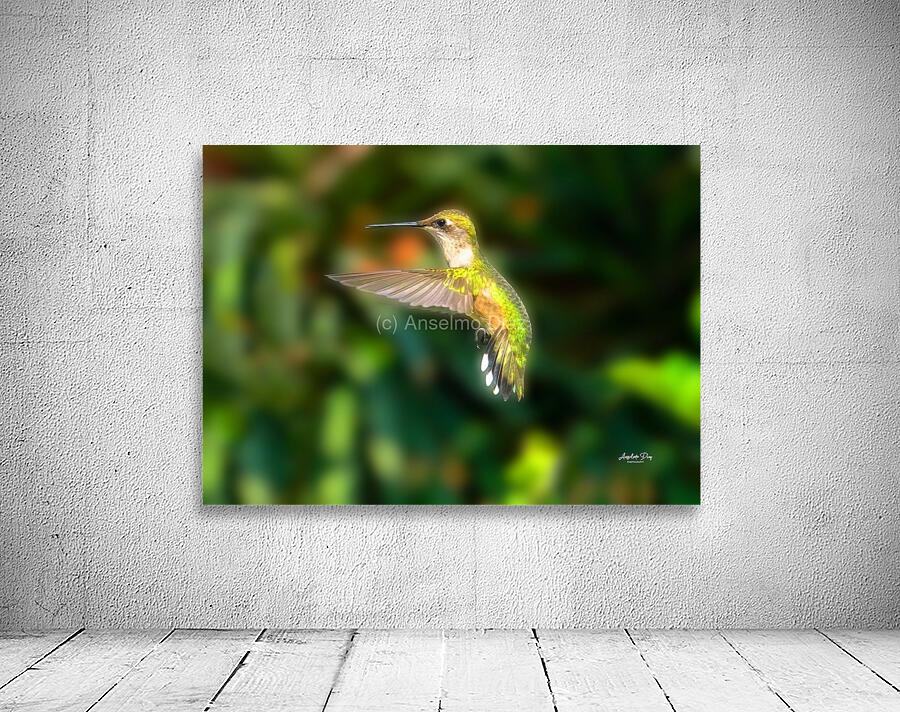 Hummingbird H2  Wall Preview
