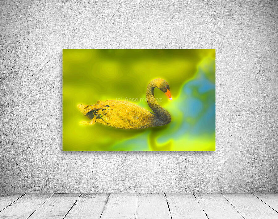 SWAN 1 Wall Preview