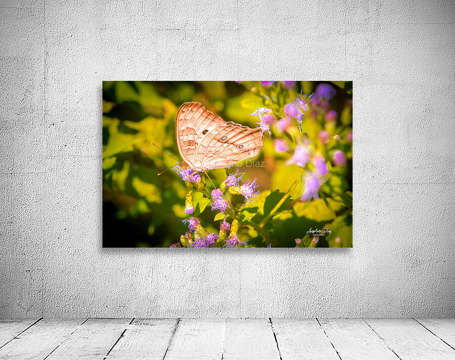 Butterfly 236 Wall Preview