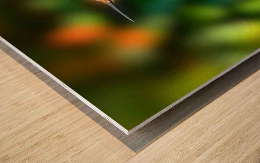 Hummingbird H1  Wood print