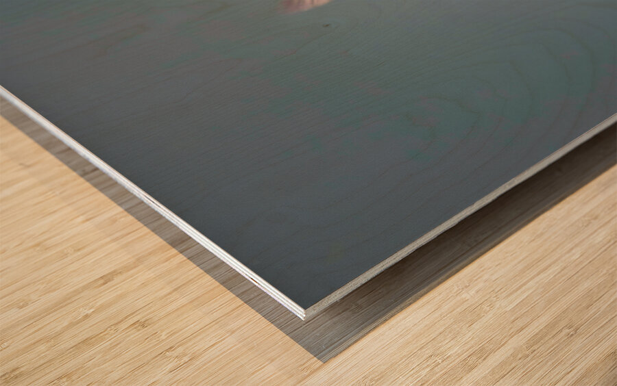 HUM3A Wood print