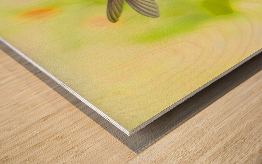 HUM12A Wood print
