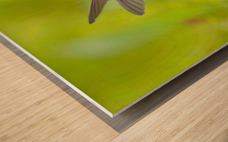 HuM4A Wood print