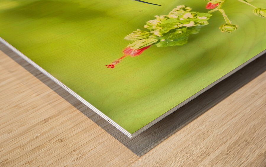 HUM10A Wood print