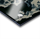 Blooms of Ices Fotia  Acrylic print