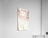 Speechless Chains Acrylic Print