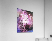 Night Sparkles Acrylic Print