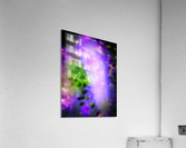 Kiwi Skies Acrylic Print