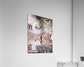 The Dreamer collection  Acrylic Print