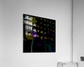 Night Dancers Acrylic Print