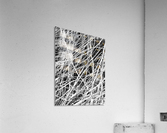 The in Between Times Acrylic Print