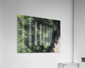 Nature’s Own Acrylic Print