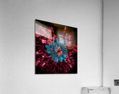 Encounter With A Moment Acrylic Print