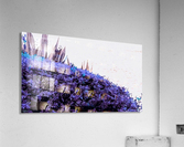 Dancing Violet  Acrylic Print