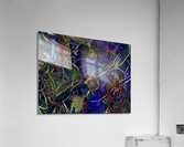 Dancing  Amongst Friends  Acrylic Print
