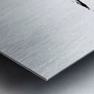 Sjalfsmynd Metal print