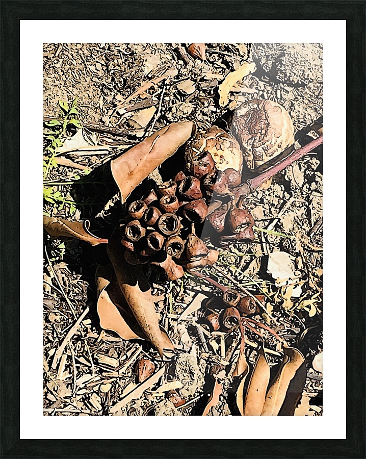 Nature’s Creations Picture Frame print