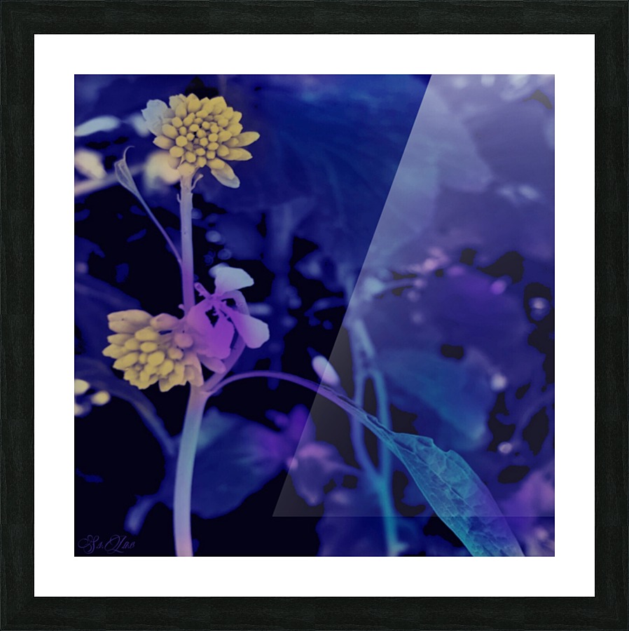 Painted Flora  Picture Frame print