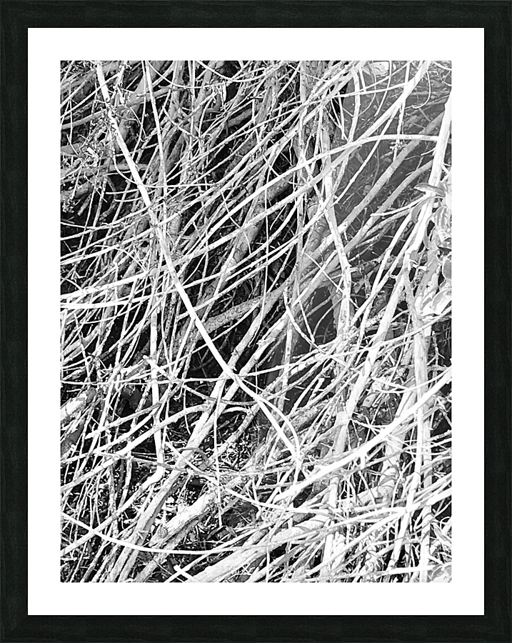 The in Between Times Picture Frame print