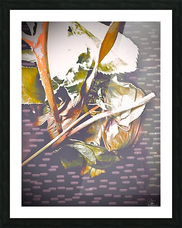  Tirage d’art