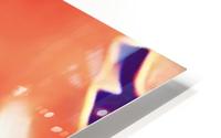  Desires in Peach HD Metal print