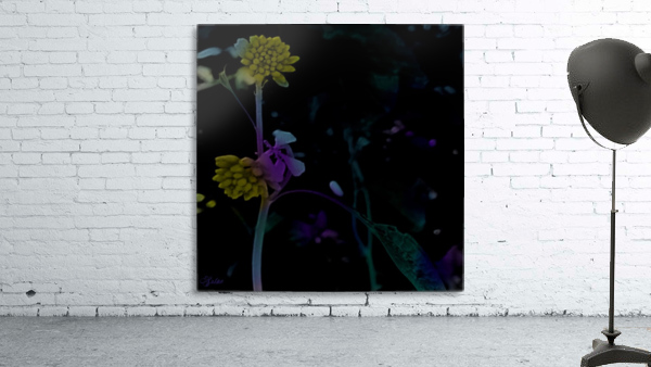 Night Dancers Wall Preview