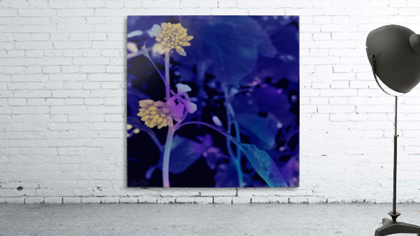 Painted Flora  Wall Preview