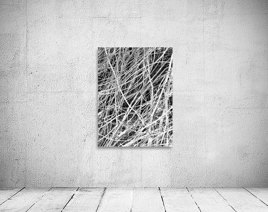 The in Between Times Wall Preview