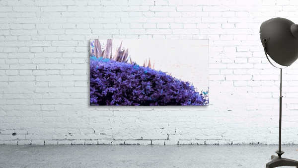 Dancing Violet  Wall Preview