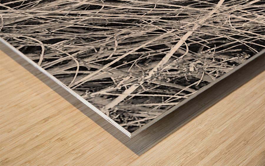 The in Between Times Wood print