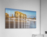 Oregon Puffins on the Rock during Sunrise Acrylic Print