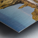 Oregon Puffins on the Rock during Sunrise Metal print