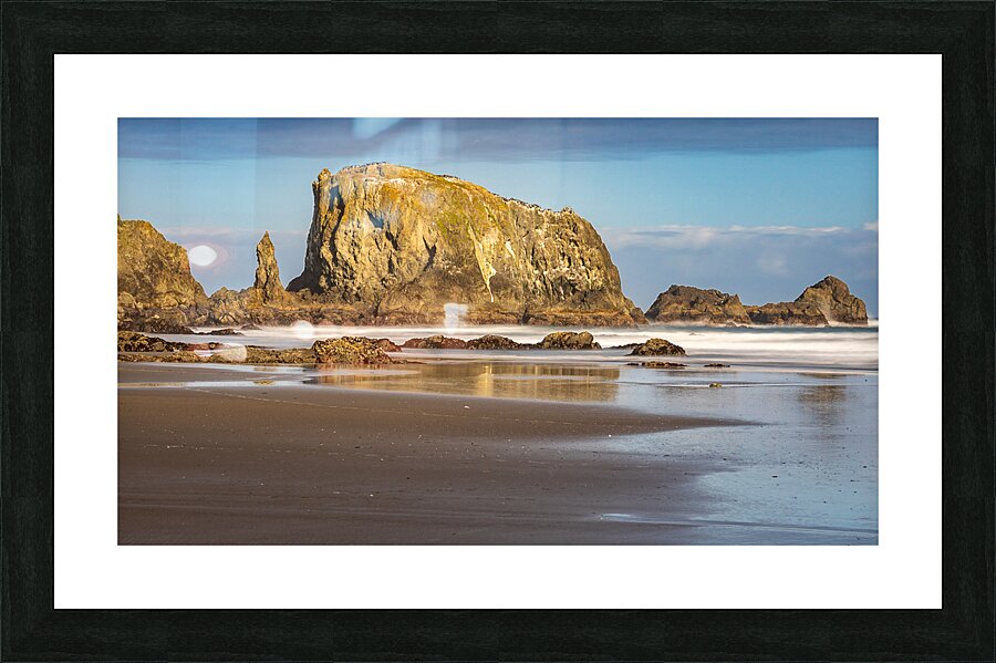 Oregon Puffins on the Rock during Sunrise Picture Frame print