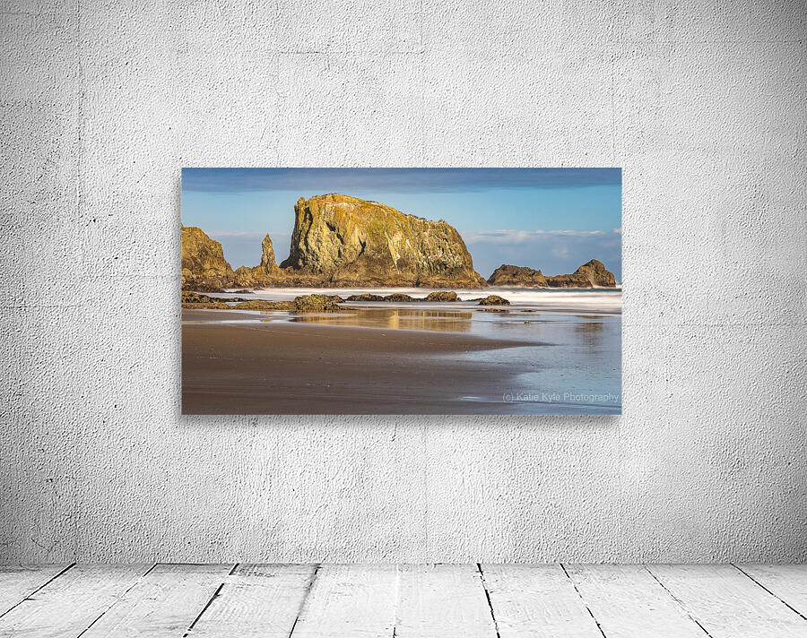 Oregon Puffins on the Rock during Sunrise Wall Preview