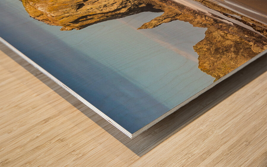 Oregon Puffins on the Rock during Sunrise Wood print