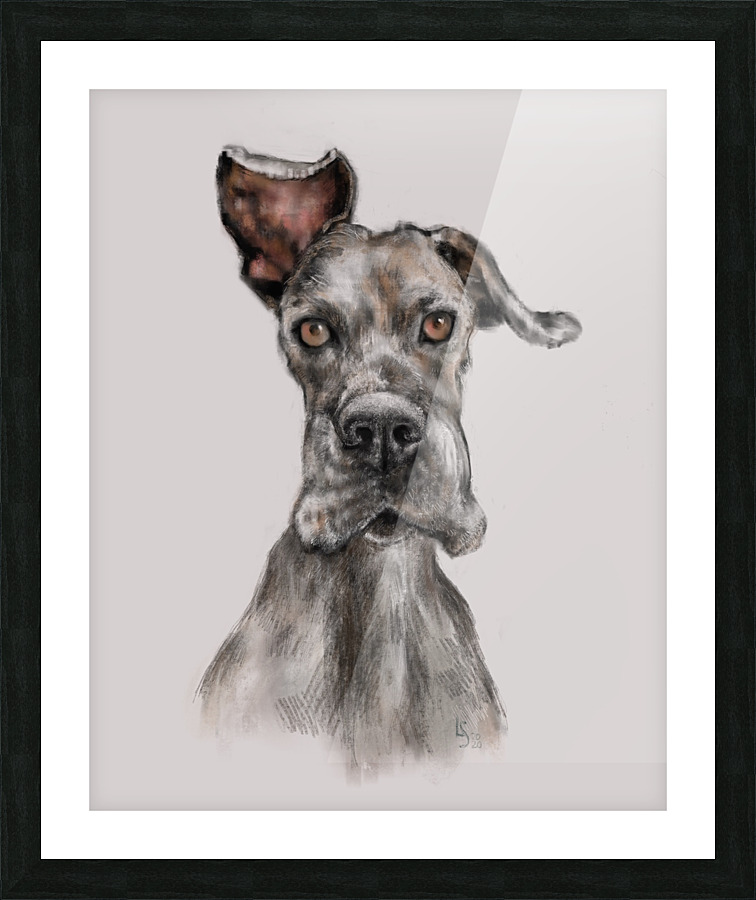 Boomer Picture Frame print