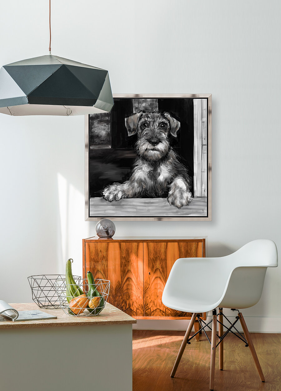 Schnauzer Pup Reproduction