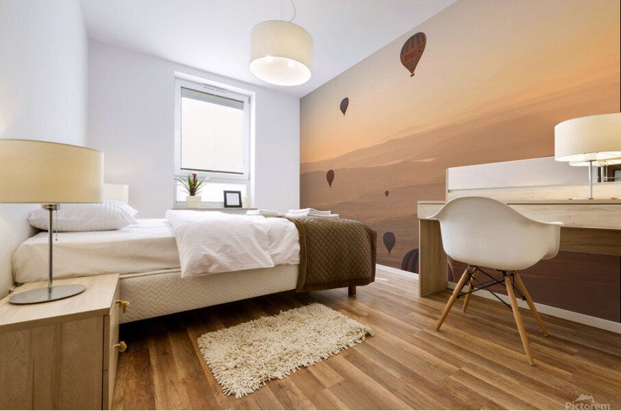 Hazy Balloons Mural print