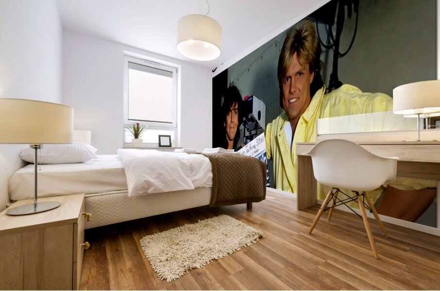 Modern Talking 16 Mural print