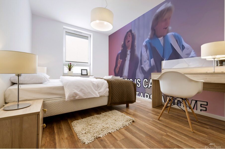 Modern Talking 27 Mural print
