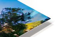 Viaduct HD Metal print