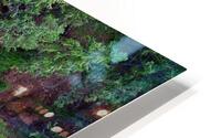 Singled out  HD Metal print