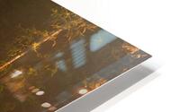 The leaning tree HD Metal print