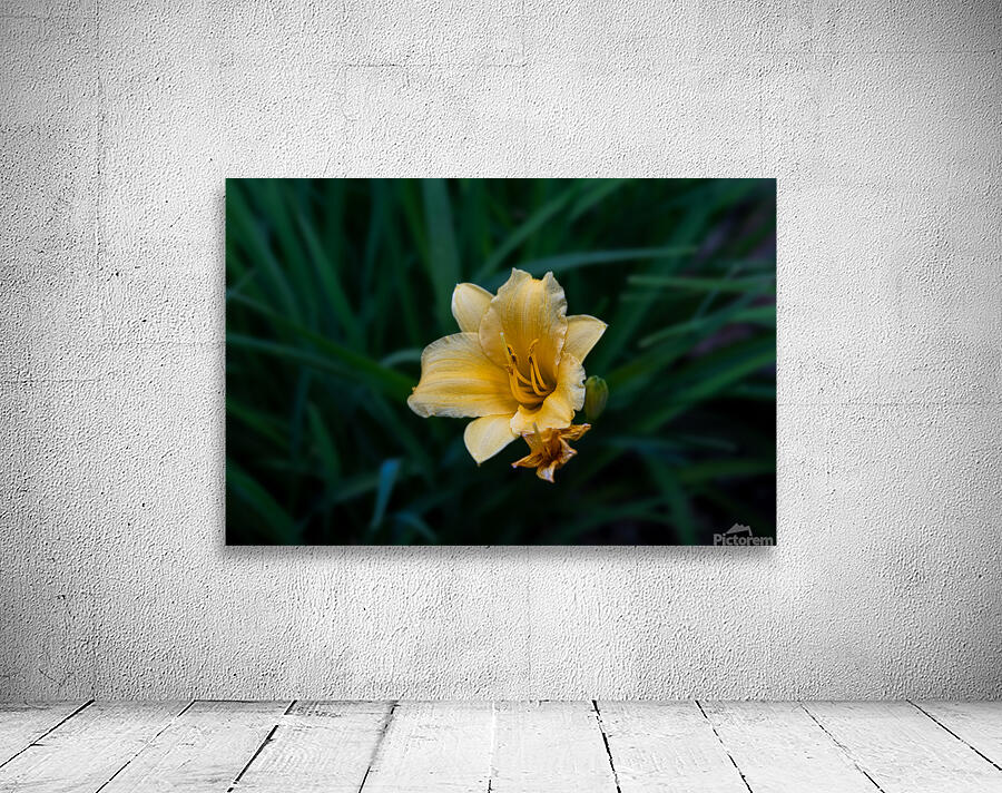 Lonely Flower Wall Preview