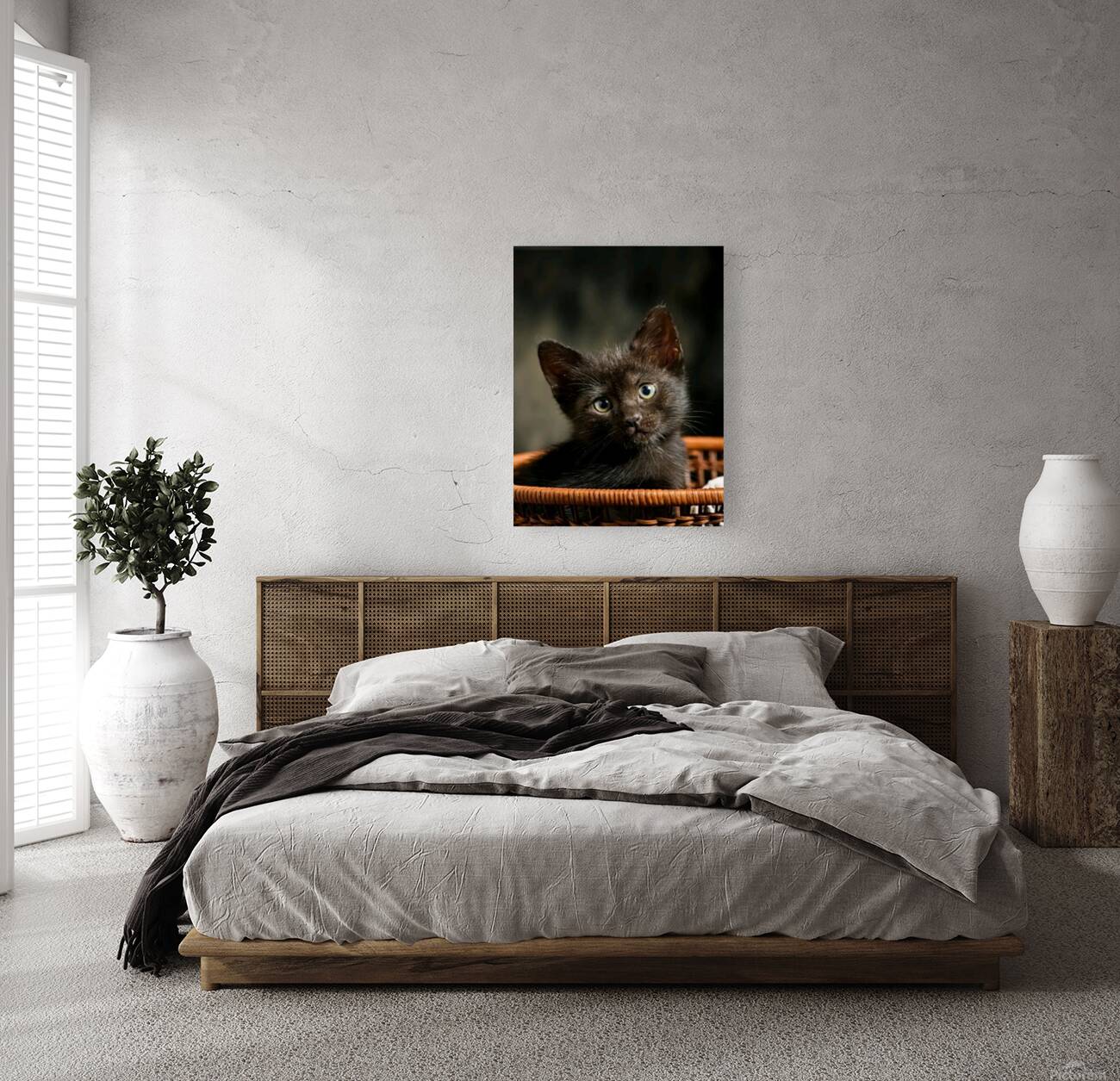 Beautiful cat Reproduction