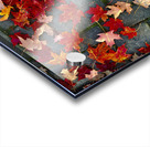 Autumn Leaves Acrylic print